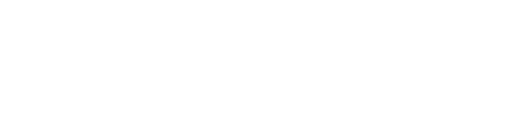 The Bardex Corporation logo.